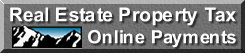 Make a Payment Online